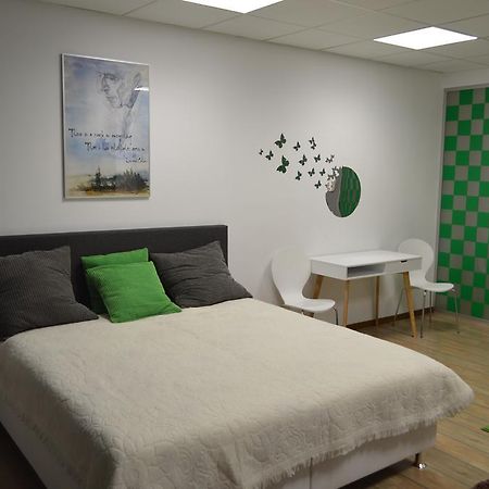 Vasarely Luxury Flat Appartement Satu Mare Buitenkant foto